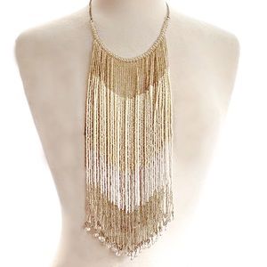 Stunning Neutral Shaded Seed Bead Fringe Necklace
